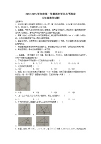 山东省济宁市嘉祥县2022-2023学年八年级上学期期中数学试题