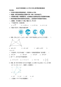 浙江省宁波市镇海区2022--2023学年八年级上学期数学期末模拟提优卷