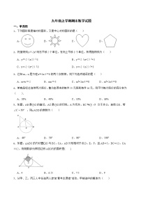 广东省韶关市南雄市2022年九年级上学期期末数学试题（附答案）