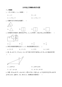 江西省吉安市永丰县2022年九年级上学期期末数学试题（附答案）