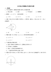 云南省红河州红河县2022年九年级上学期期末考试数学试题及答案