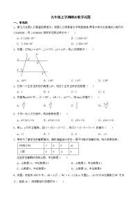 云南省昆明市嵩明县2022年九年级上学期期末数学试题及答案