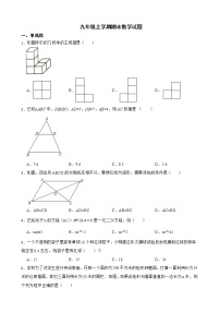 云南省文山壮族苗族自治州文山市2022年九年级上学期期末数学试题及答案