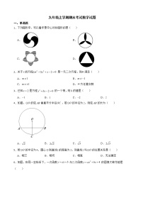 云南省昭通市永善县2022年九年级上学期期末考试数学试题及答案