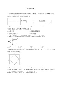 2023届中考数学专项练习 正方形(B)