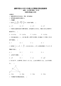 湖南省邵阳市第七高级中学2022-2023学年八年级上学期期中考试数学试题