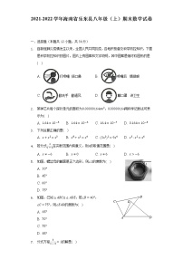 海南省乐东县2021-2022学年八年级（上）期末数学试卷(解析版)