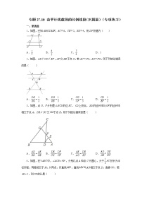 专题27.10 由平行线截得的比例线段（巩固篇）（专项练习）-2022-2023学年九年级数学下册基础知识专项讲练（人教版）