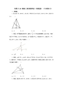 专题27.18 相似三角形的判定（培优篇）（专项练习）-2022-2023学年九年级数学下册基础知识专项讲练（人教版）