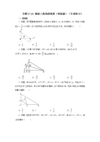 专题27.22 相似三角形的性质（培优篇）（专项练习）-2022-2023学年九年级数学下册基础知识专项讲练（人教版）