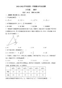 精品解析：陕西省西安市西安高新一中实验中学2021-2022学年八年级上学期期末数学试题