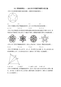 （8）图形的变化——2022年中考数学真题专项汇编(含答案)