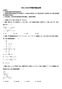 浙江省丽水市级名校2021-2022学年中考押题数学预测卷含解析