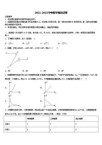 浙江省宁波市国际校2022年中考联考数学试题含解析