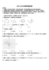 浙江省宁波市明望中学2022年中考数学适应性模拟试题含解析