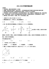 浙江省台州院附中2022年中考数学对点突破模拟试卷含解析