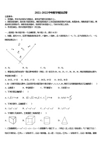 重庆南开融侨中学2021-2022学年中考数学适应性模拟试题含解析