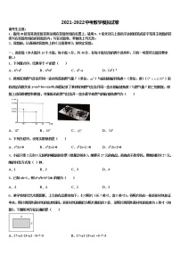 重庆市北山中学片区教研共同体2022年中考数学押题试卷含解析