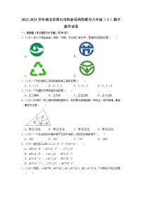 湖北省黄石市阳新县两校联考2022-2023学年八年级上学期期中质量检测数学试题