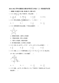 安徽省合肥市庐阳区2021-2022学年九年级（上）期末数学试卷(含答案)