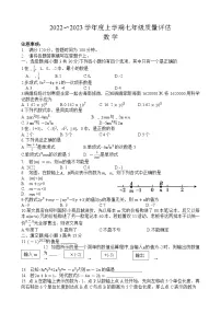 河南省信阳市平桥区2022-2023学年七年级上学期期中数学试卷(含答案)