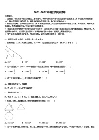 重庆市大渡口区市级名校2021-2022学年中考数学押题试卷含解析