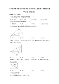 山东省日照市港务局中学2022-2023学年八年级第一学期10月月考数学试卷（含解析）