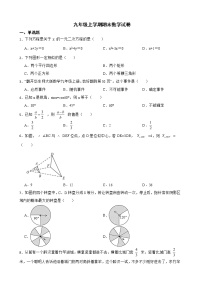 四川省内江市2022年九年级上学期期末数学试卷及答案