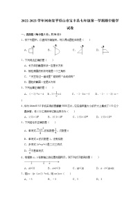 河南省平顶山市宝丰县2022-2023学年七年级上学期期中考试数学试题(含答案)