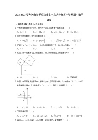 河南省平顶山市宝丰县2022-2023学年八年级上学期期中数学试卷(含答案)