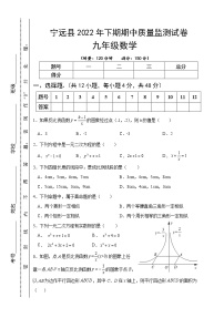 湖南省永州市宁远县2022-2023学年九年级上学期期中质量监测数学试题(含答案)