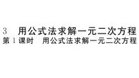 北师大版九年级上册3 用公式法求解一元二次方程习题课件ppt