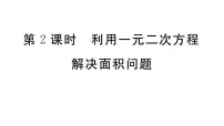 北师大版九年级上册3 用公式法求解一元二次方程习题ppt课件