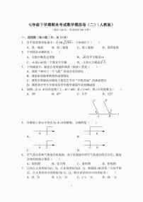 七年级下学期期末考试数学模拟卷（二）（人教版）