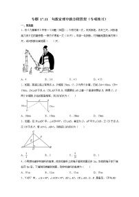 专题 17.11 勾股定理中的方程思想（专项练习）-八年级数学下册基础知识专项讲练（人教版）