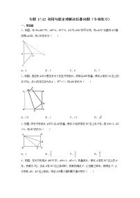 专题 17.12 利用勾股定理解决折叠问题（专项练习）-八年级数学下册基础知识专项讲练（人教版）