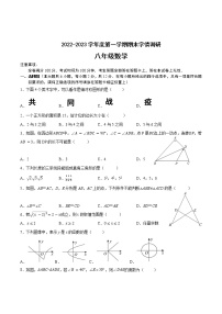 江苏省南京市2022-2023学年八年级上学期数学期末备考卷Ⅰ（含答案）