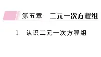 北师大版八年级上册1 认识二元一次方程组习题ppt课件