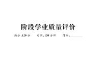 北师大版八年级数学上阶段学业质量评价章节习题课件