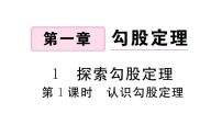 初中数学1 探索勾股定理习题课件ppt