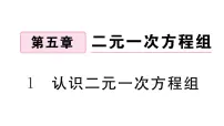 北师大版八年级上册1 认识二元一次方程组习题课件ppt