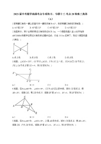 2023届中考数学高频考点专项练习：专题十三 考点28 特殊三角形（A）