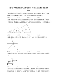 2023届中考数学高频考点专项练习：专题十三 三角形综合训练（A）