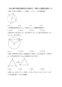 2023届中考数学高频考点专项练习：专题十五 圆综合训练（A）