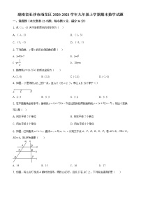 长沙市雨花区2020-2021学年九年级上学期期末数学试题