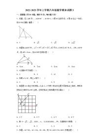 期末测试（三）-2022-2023学年八年级数学上册期末复习强化训练（冀教版）