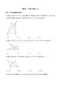 专题05  全等三角形（2）-2022-2023学年八年级数学上册期末复习考点强化训练（冀教版）