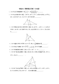 专练06（填空题-压轴，10道）-2022-2023学年上学期八年级数学期末考点必杀200题（冀教版）