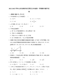 2022-2023学年山东省菏泽市巨野县人教版九年级（上）期中数学试卷(解析版)