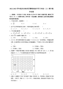 重庆市南岸区珊瑚初级中学2022-2023学年八年级上学期期中考试数学试卷(含答案)